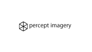 Percept Imagery