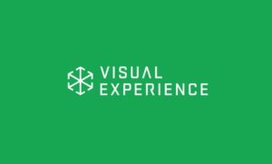 Visual Experience