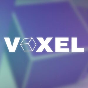 Voxel