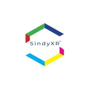 SInDyXR