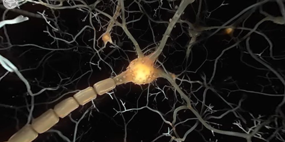 Intercellular – An Interbody VR Experience