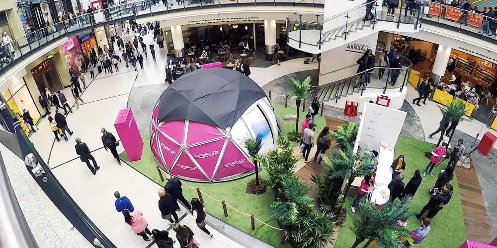 Visit Florida: Brand Activation