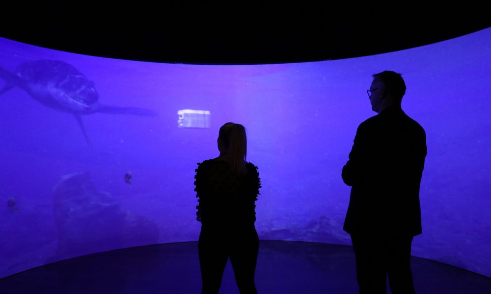 Sea Monsters Exhibition