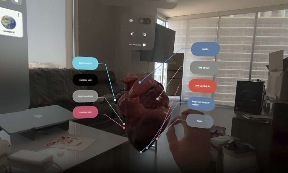 Scanomy – Anatomy Editor