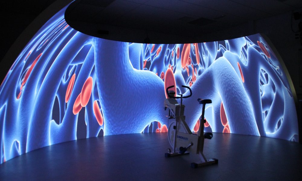 University of Brighton: Sports Science Simulator