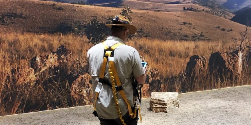 Fossils from the Cradle of Humankind – AR Experience