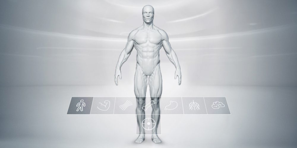 VR Anatomical Learning