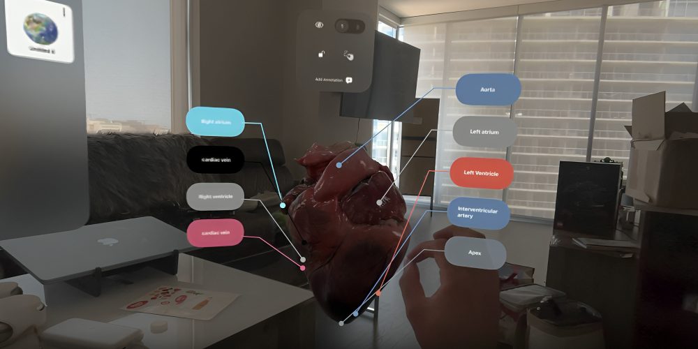 Scanomy – Anatomy Editor