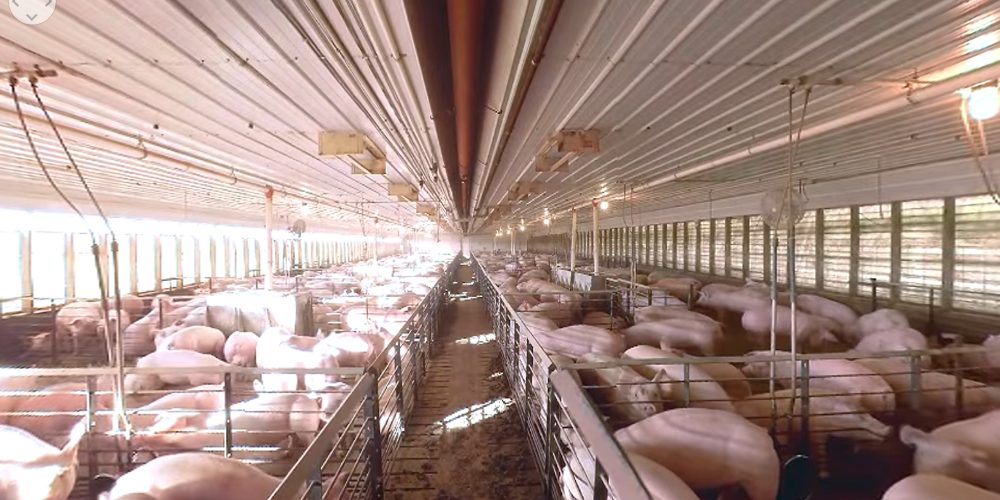 US Farmers and Ranchers Alliance VR Farm Tour