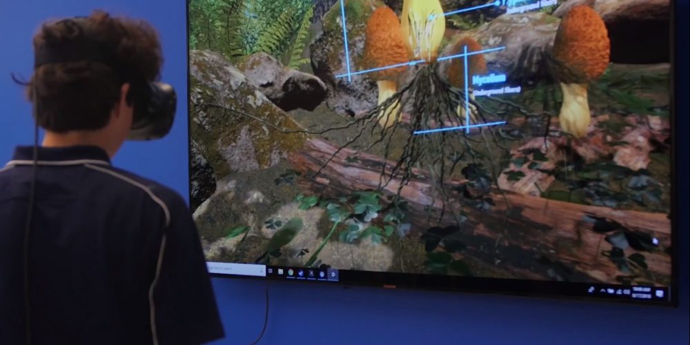 XDVR Learning Portal