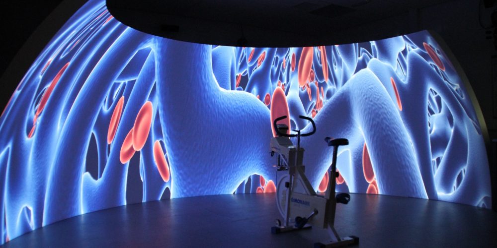 University of Brighton: Sports Science Simulator