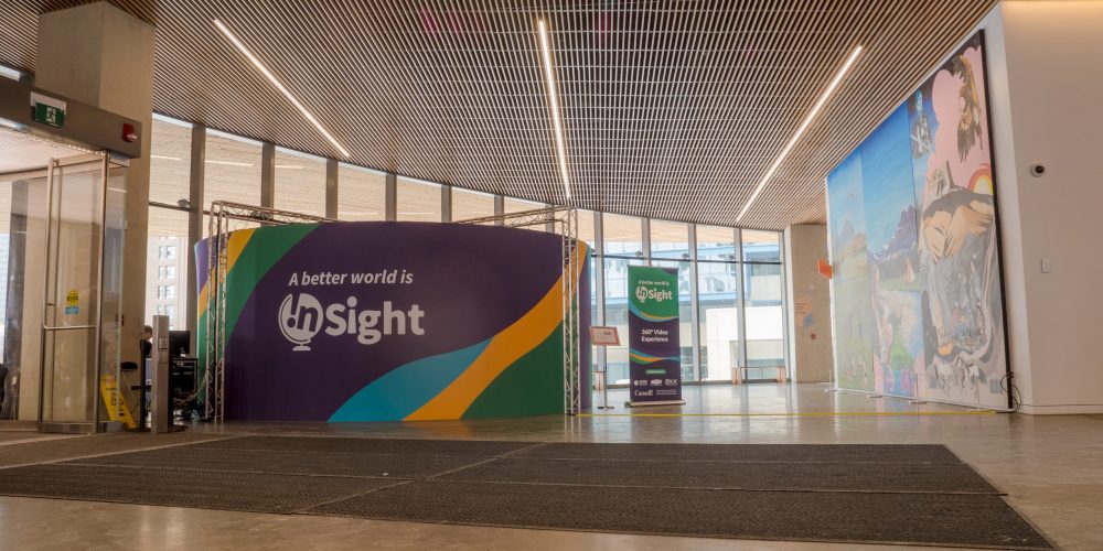 The InSight Project