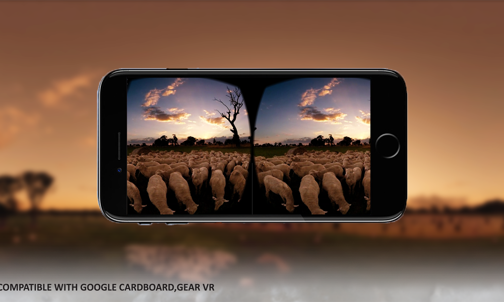 Woolmark VR