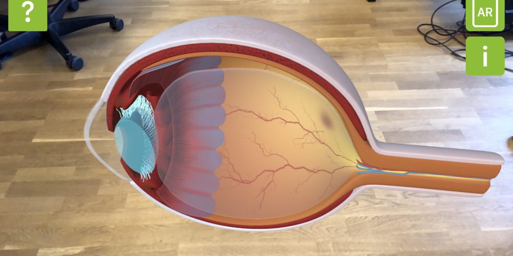 Memira AR Anatomy