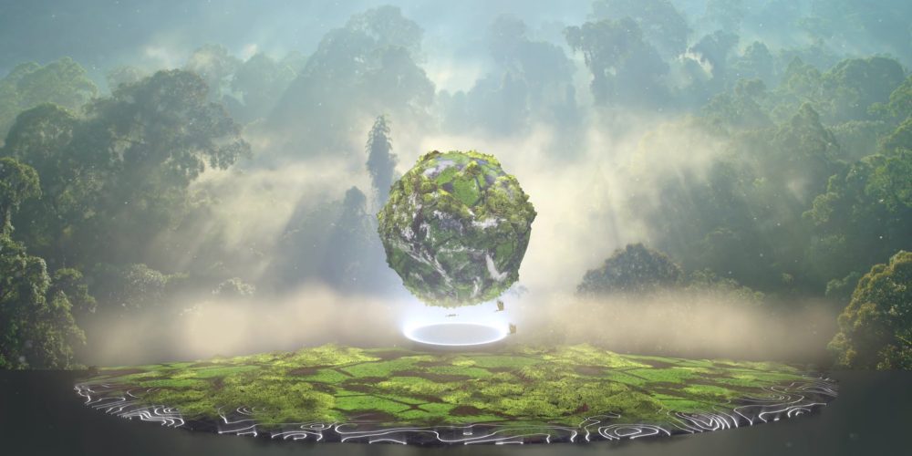 REWILD Our Planet