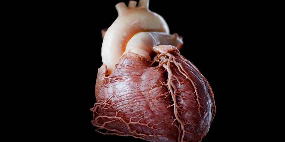 Insight Heart