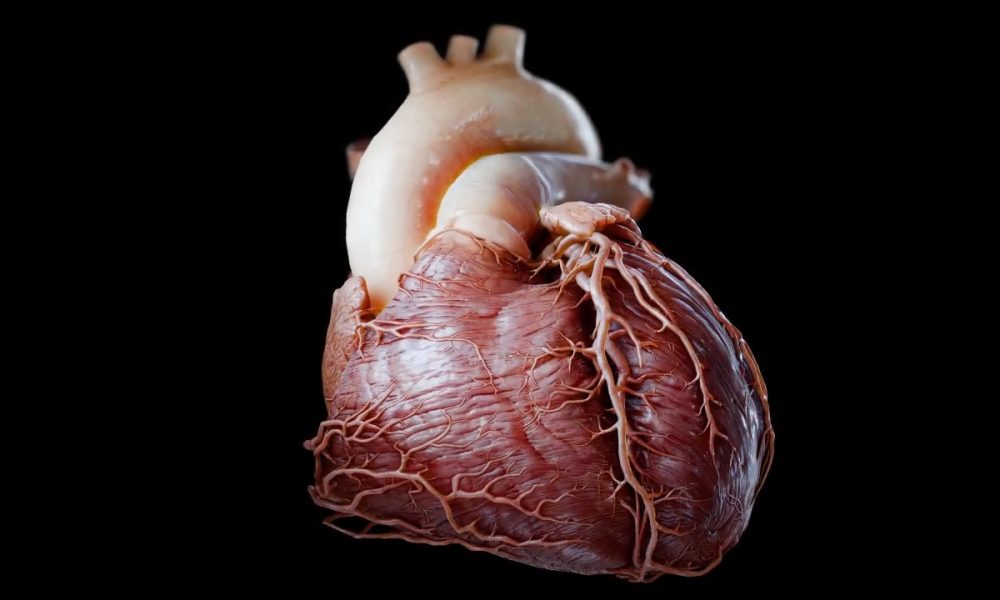 Insight Heart