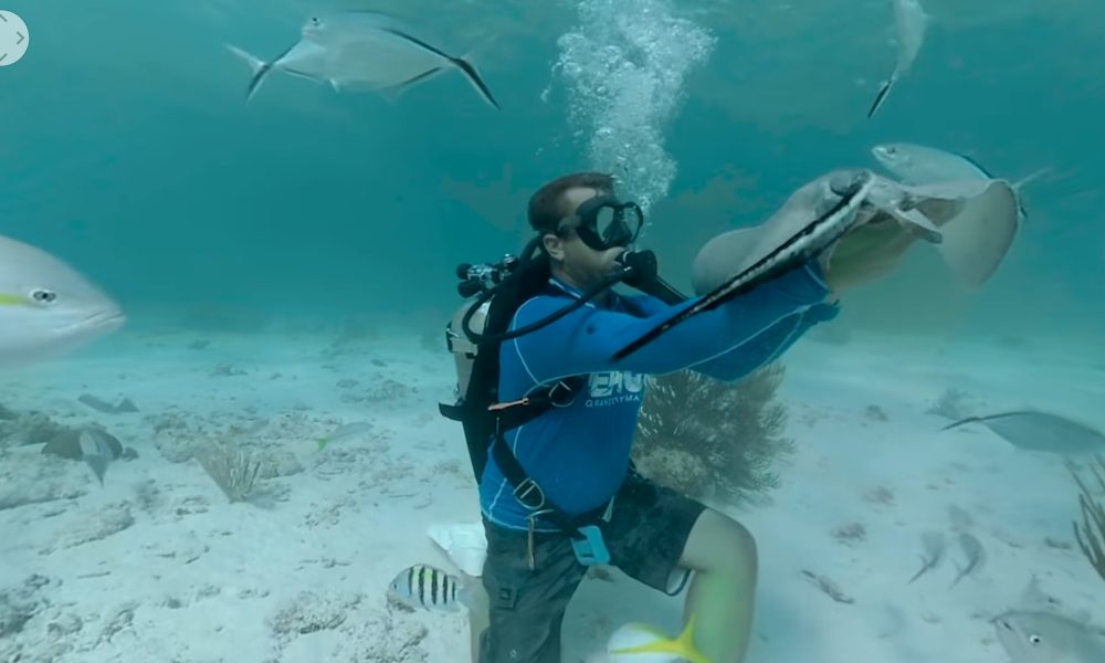 Virtually Cayman