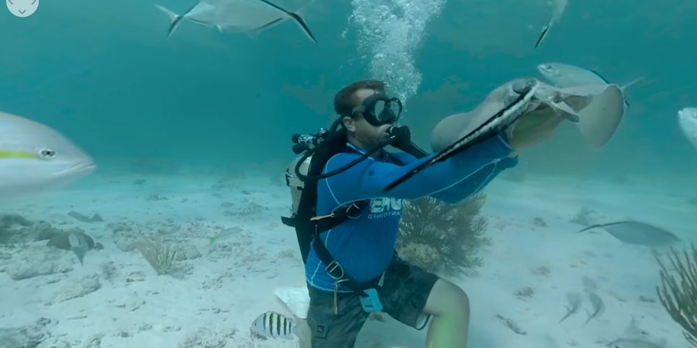 Virtually Cayman
