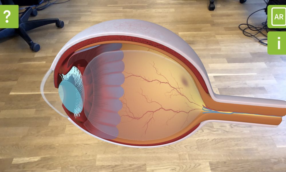 Memira AR Anatomy