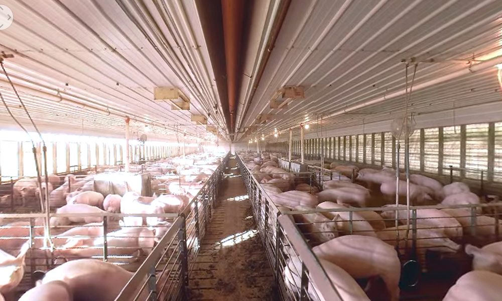 US Farmers and Ranchers Alliance VR Farm Tour